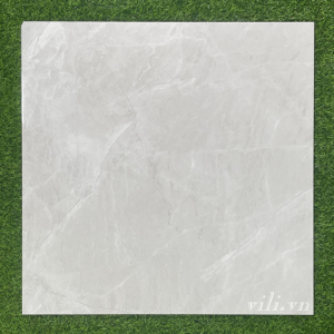 Gạch 100x100