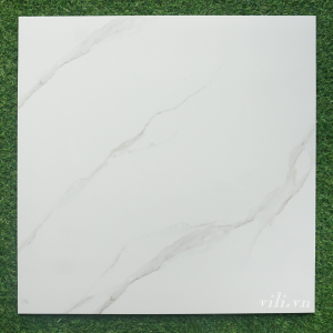 Gạch 50x50